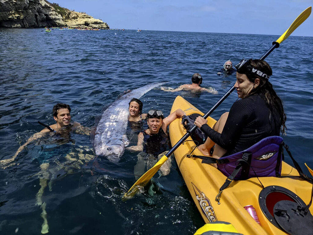 Un ejemplar del pez remo es grabado en isla espíritu Santo baja California Sur. pic.twitter.com/Y7xRPL0o8V— X (@EarthquakeChil1) August 11, 2024