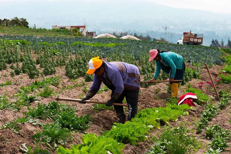 Crece actividad económica en México 2 por ciento anual en julio