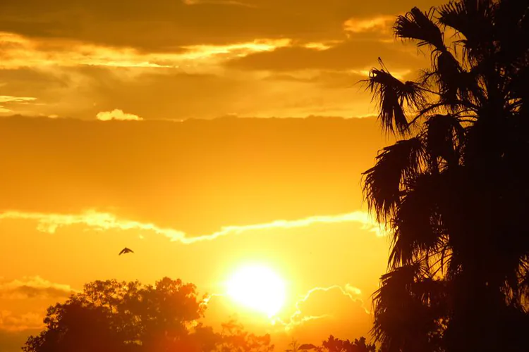 Este 19 de septiembre se espera clima cálido para la mayor parte del país