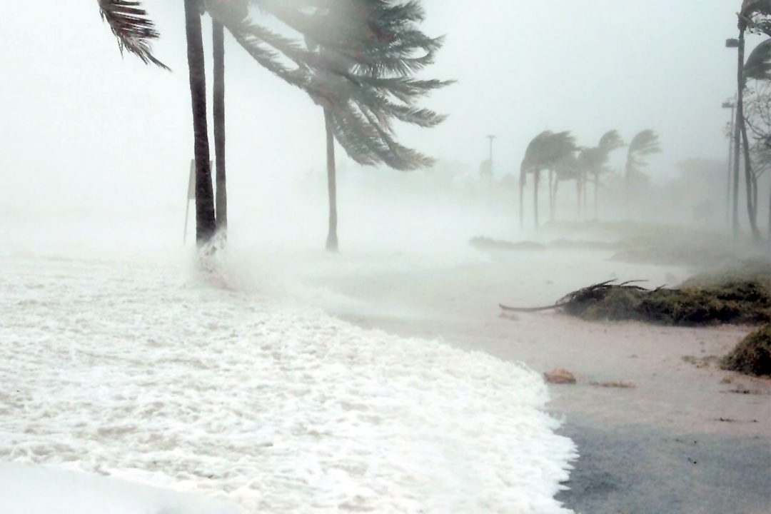 ¡Alerta! Depresión Tropical Nueve-E se dirige a BCS, Sinaloa y Sonora