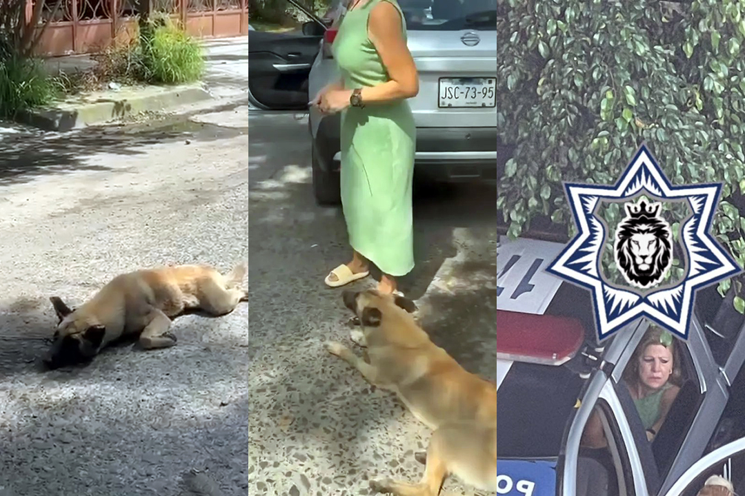 Mujer arrastra perro con camioneta en Tlaquepaque | Video