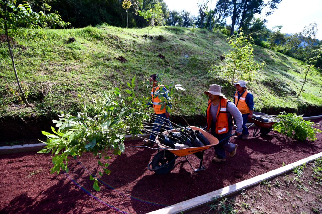 ¡Asiste a la 35ª Jornada Comunitaria 👩‍🌾👨🏻‍🌾! 💚Sábado 31 agosto.Mantenimiento🧹♻️🍂:📍Manantial de San Cristóbal, Xalapa 2000.📍Parque Unidad Magisterial.Reforestación 🌱🌳:📍Parque Barranca Hondahttps://t.co/JK50PfNsJV. pic.twitter.com/kz9eDm8ze3— Ayuntamiento de Xalapa (@AytoXalapa) August 30, 2024