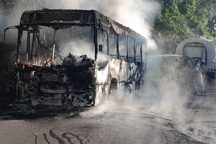 Se incendia autobús en Atoyac, Veracruz, en ruta Paso del Macho-Córdoba | Video