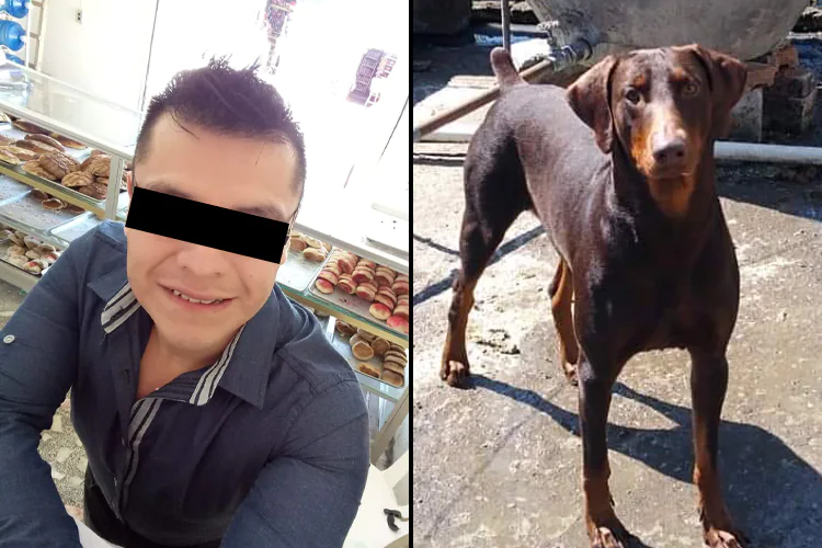 En Huatusco, hallan sin vida a animalista y a su mascota