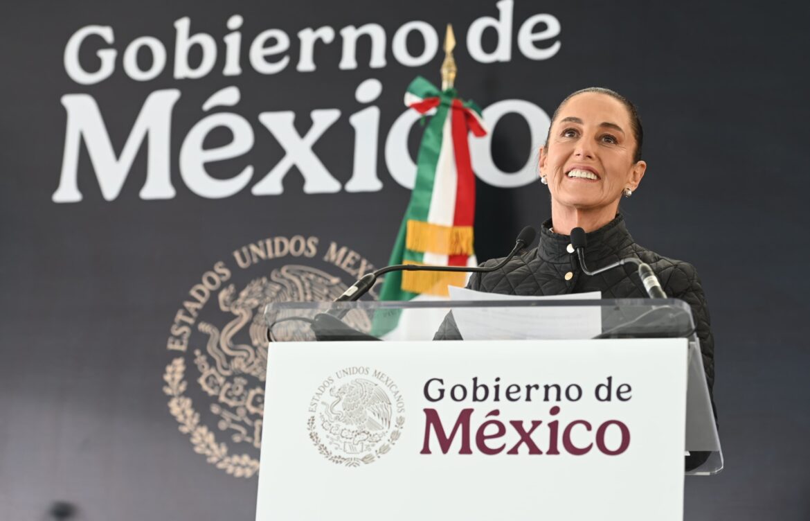 Prohibición de sembrar maíz transgénico será ley en 2025: Sheinbaum