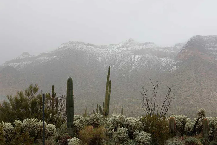 Continúa paso del frente frío 15 por México con ambiente gélido y lluvias dispersas