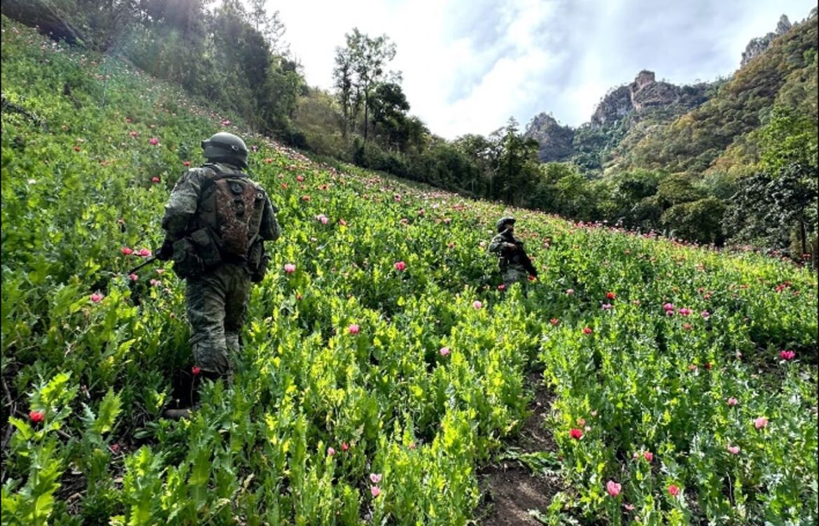 Informe de las operaciones relevantes en seguridad del país