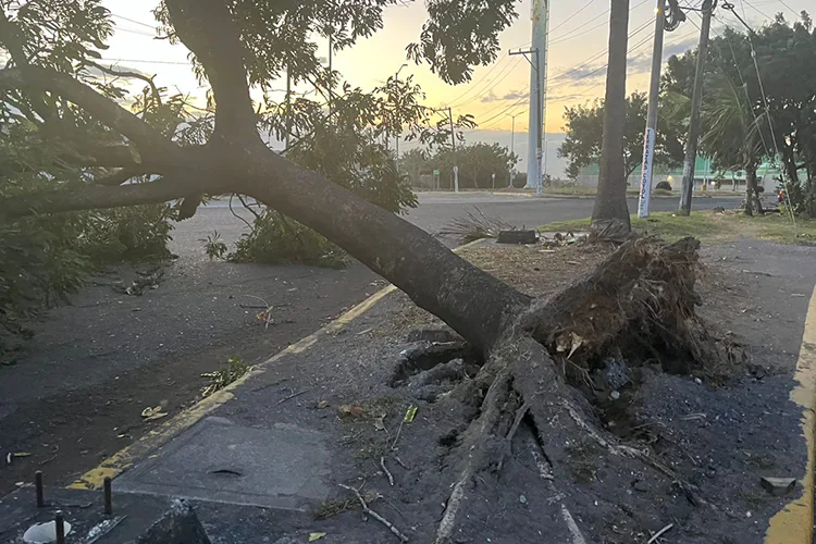 Veracruz y Boca del Río sufren estragos por viento norte asociado al frente frío 14