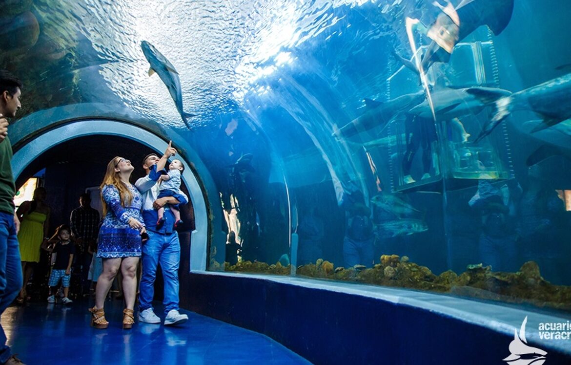Aquarium de Veracruz rompe récord de asistencia en 2024