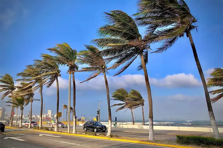 Clima: Se espera viento norte y lluvias aisladas; ola de calor persiste en gran parte de México