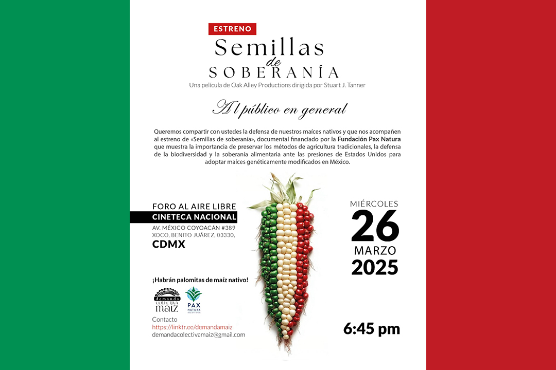 Exponen en «Semillas de Soberanía» la defensa del maíz nativo en México