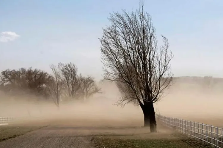 Clima en México: Se esperan fuertes rachas de viento en estados del norte del país