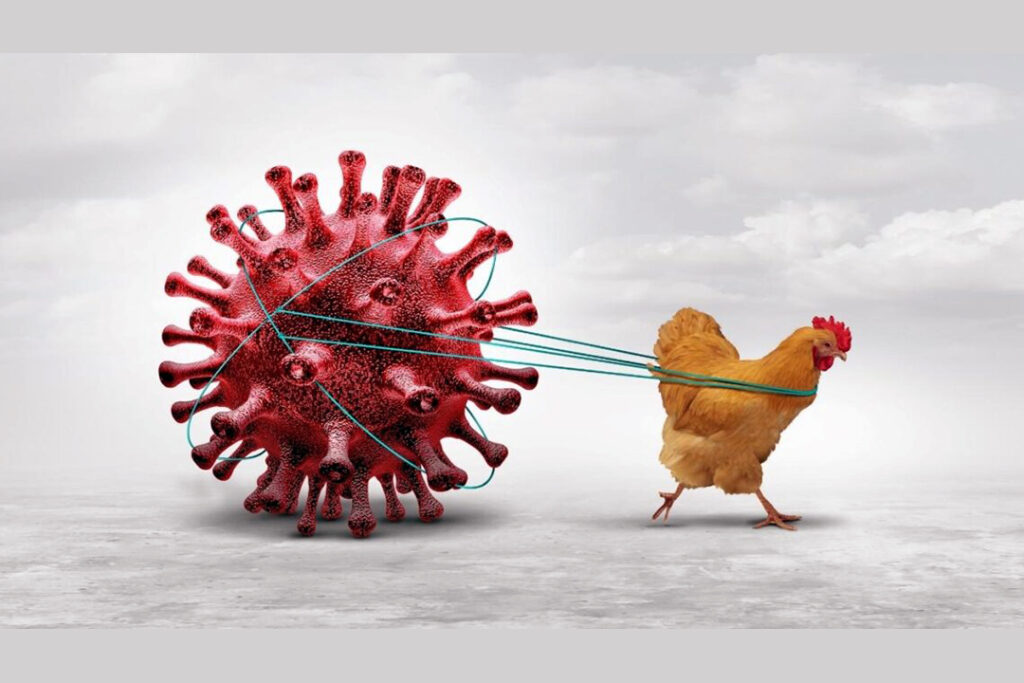 humano de influenza aviar A (H5N1)