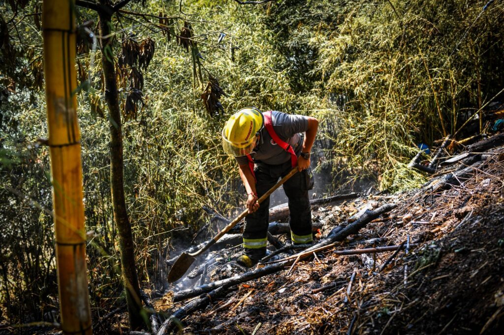 El personal de Protección Civil Municipal, junto con el Cuerpo de Bomberos,CMAS,IMSS y Seguridad Ciudadana,lograron controlar el incendio en la zona del Paseo de Los Lagos sin que se reportaran personas lesionadas👨🏽🚒👮🏼♀🦺¡Cuidemos nuestro entorno! 🌍💚#TrabajoYTransparencia pic.twitter.com/0lUtdRMWJh— Ayuntamiento de Xalapa (@AytoXalapa) April 4, 2025