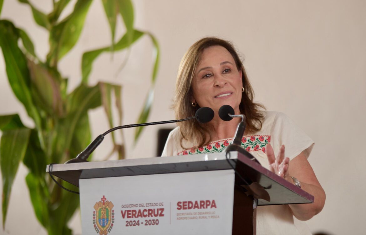 Anuncia Rocío Nahle precio de garantía de 7 mil pesos por tonelada de maíz