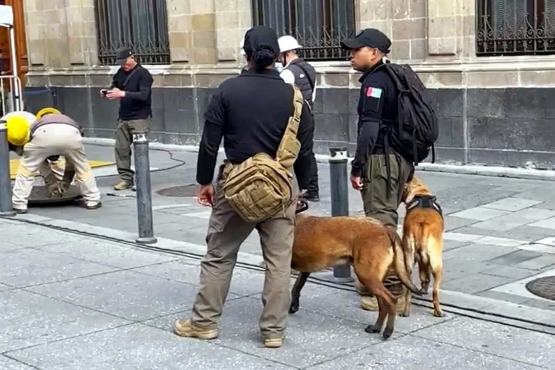 Operativo de Seguridad en CDMX: Palacio Nacional en Alerta
