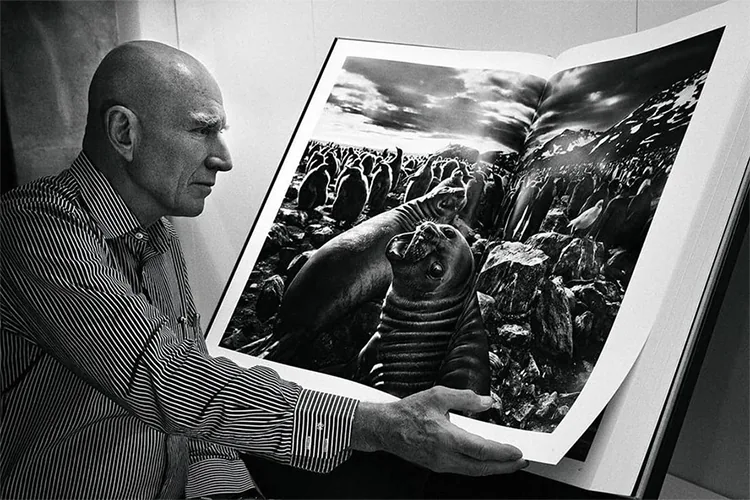 Fallece Sebastião Salgado, emblema de la fotografía mundial, a los 81 años