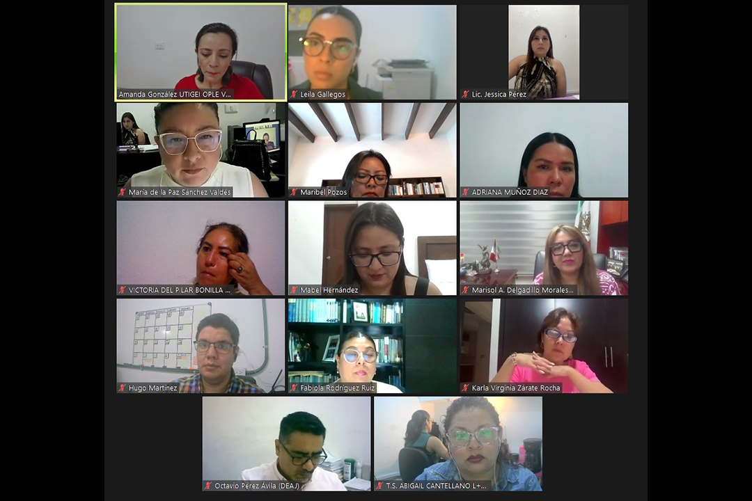 OPLE Veracruz realiza primer encuentro virtual dirigido a la Red de mujeres juzgadoras: candidatas y electas