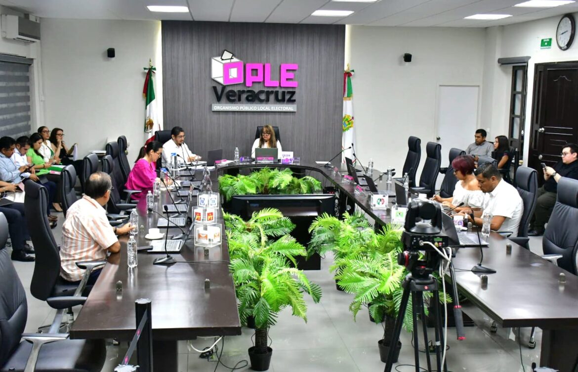 OPLE y AMCEE lanzan red de candidatas