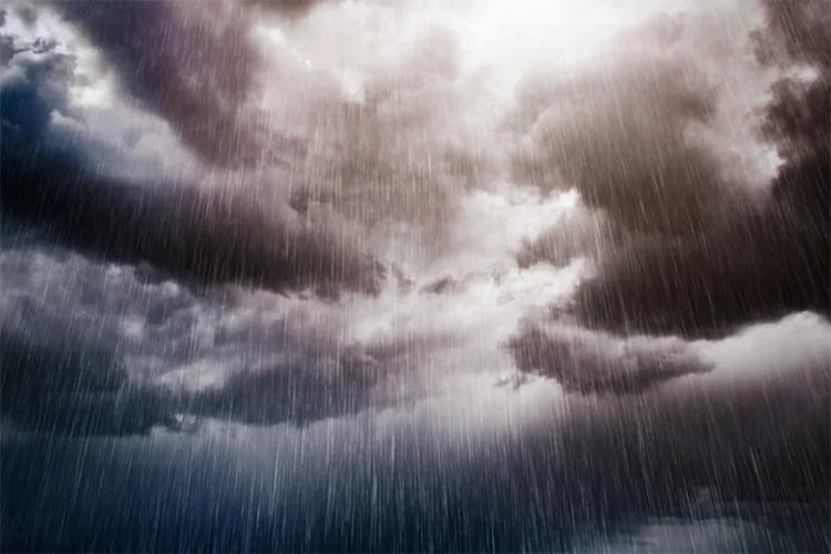 Tormenta tropical Erick provoca lluvias intensas y vientos severos en 16 estados