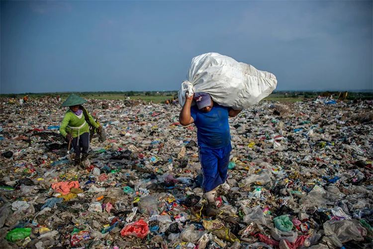 Día Mundial del Medio Ambiente 2025: “Derrotemos la contaminación por plásticos”
