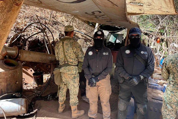 FOTOS | En Durango, aseguran laboratorio clandestino y pista de aviones del narco