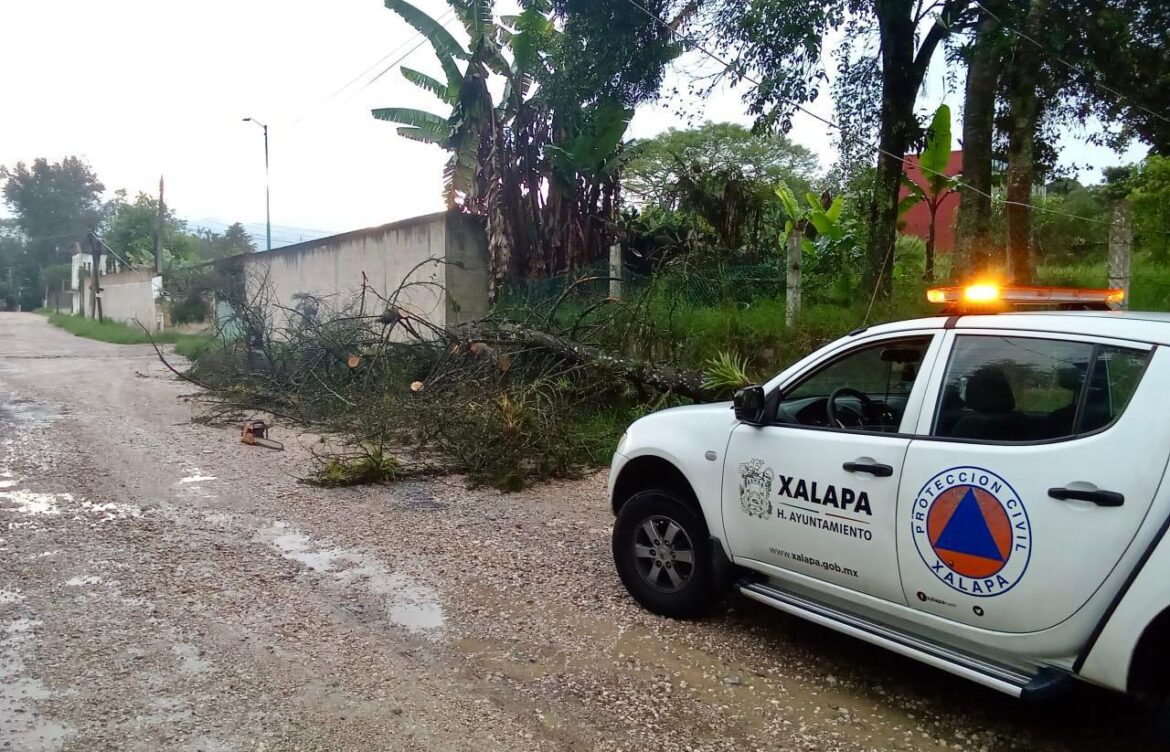 Xalapa reporta daños por lluvias de 45 mm