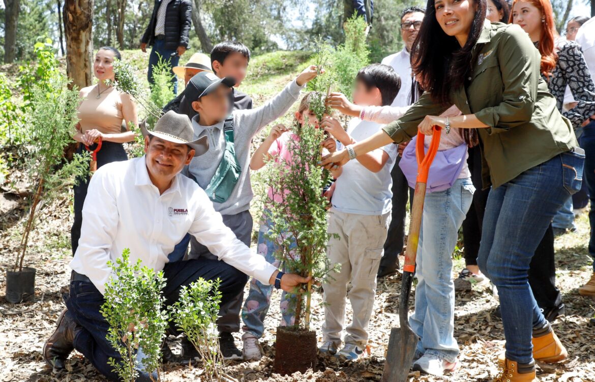 Armenta sembrará 1.7 millones de árboles