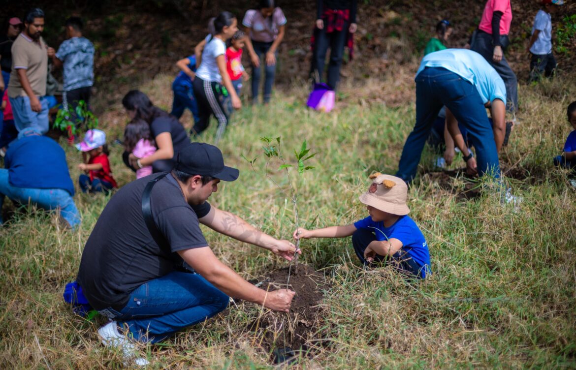 En el Día del Medio Ambiente inicia campaña de Reforestación 2025