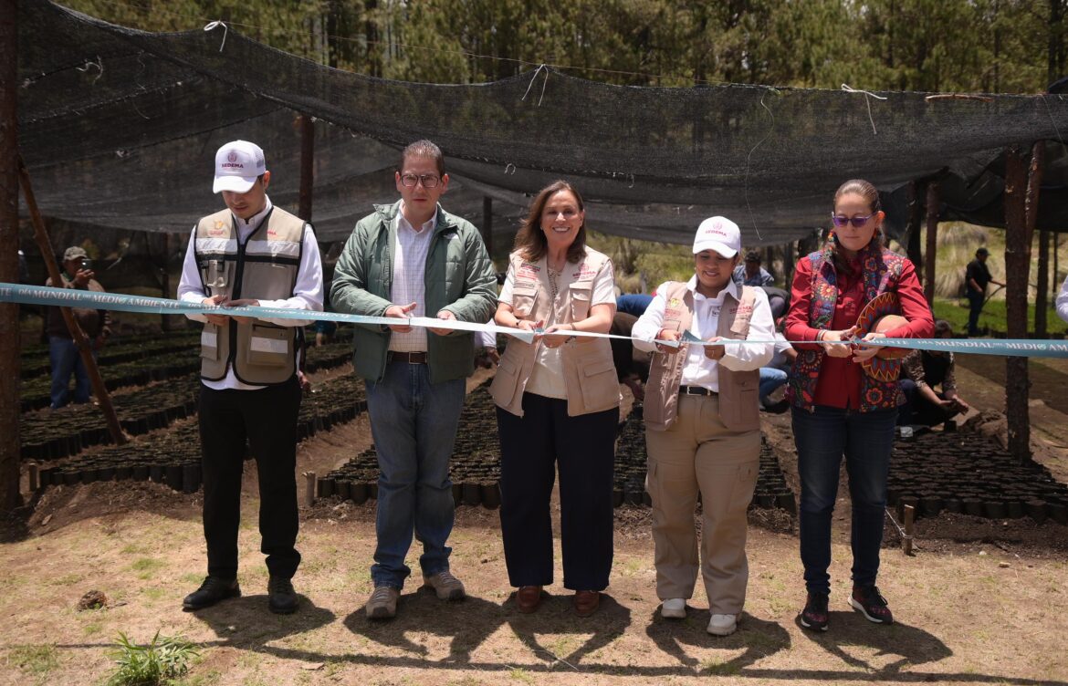 Nahle impulsa protección ambiental con 50 mil árboles