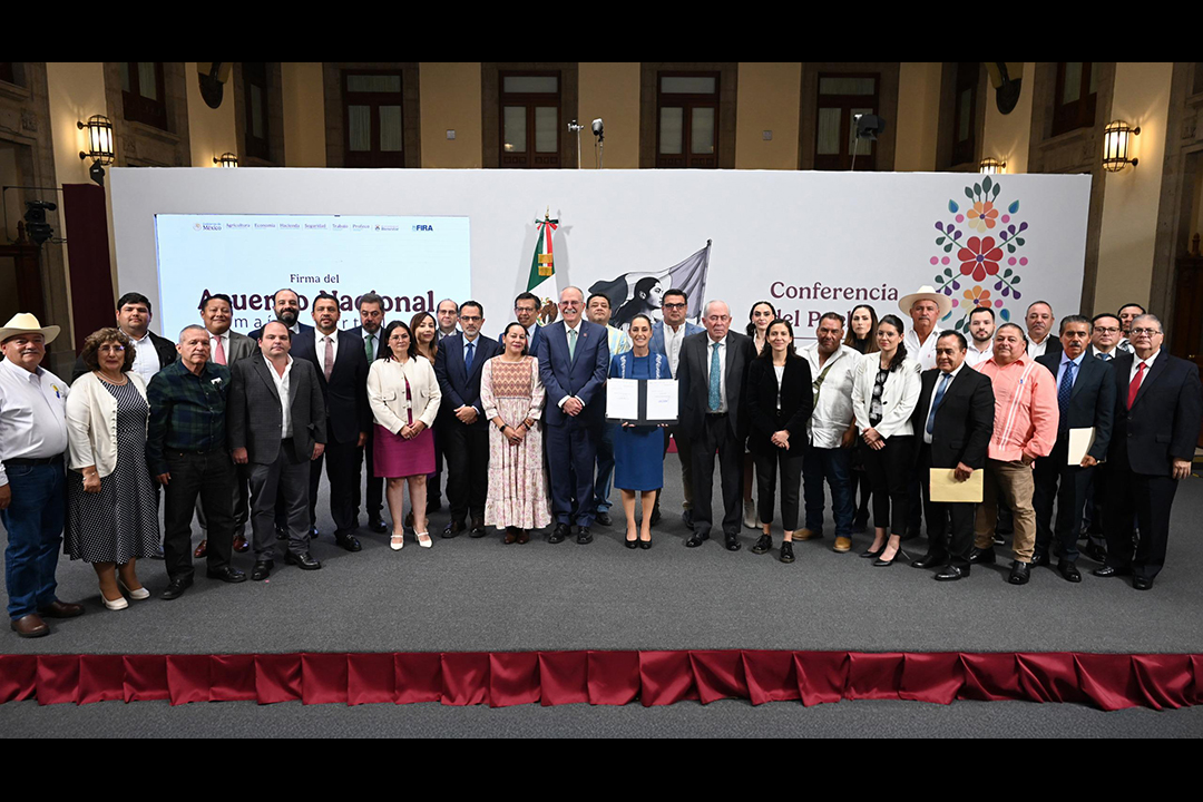 Sheinbaum anuncia plan para abaratar la tortilla