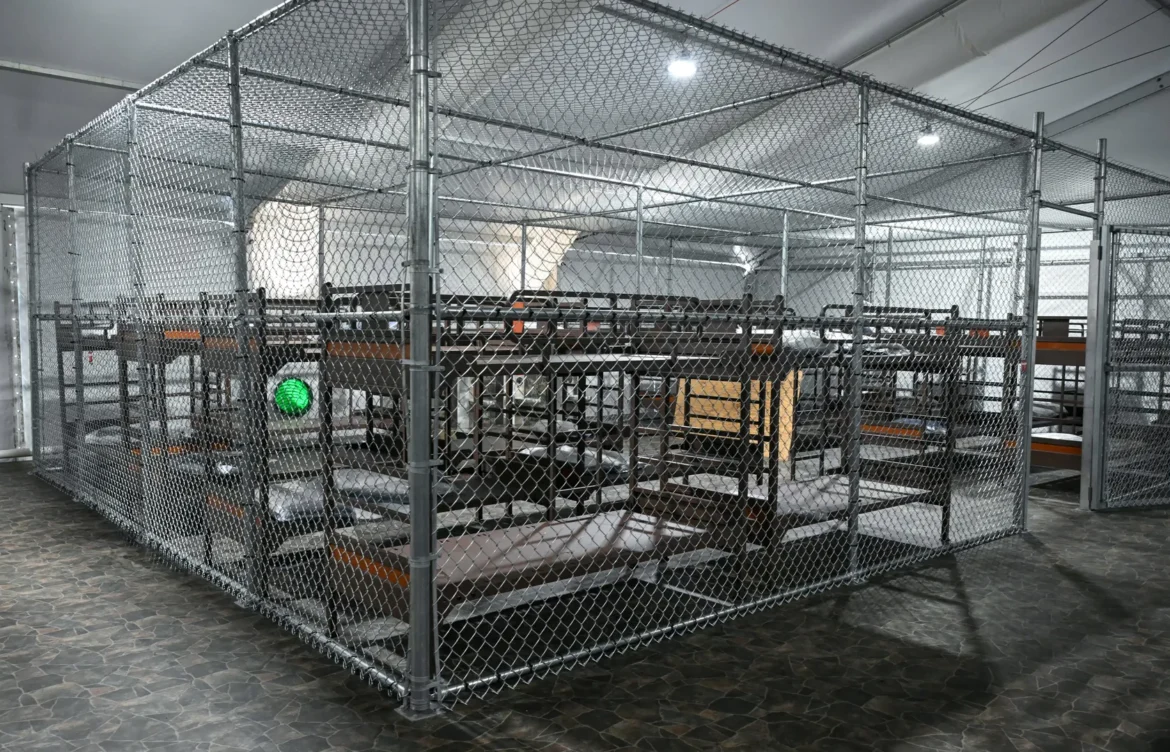 Hermanos mexicanos detenidos y enviados a “Alligator Alcatraz” en Florida