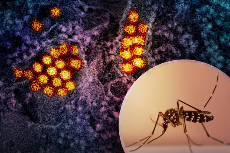 Salud confirma focos rojos de dengue en Xalapa y Coatepec