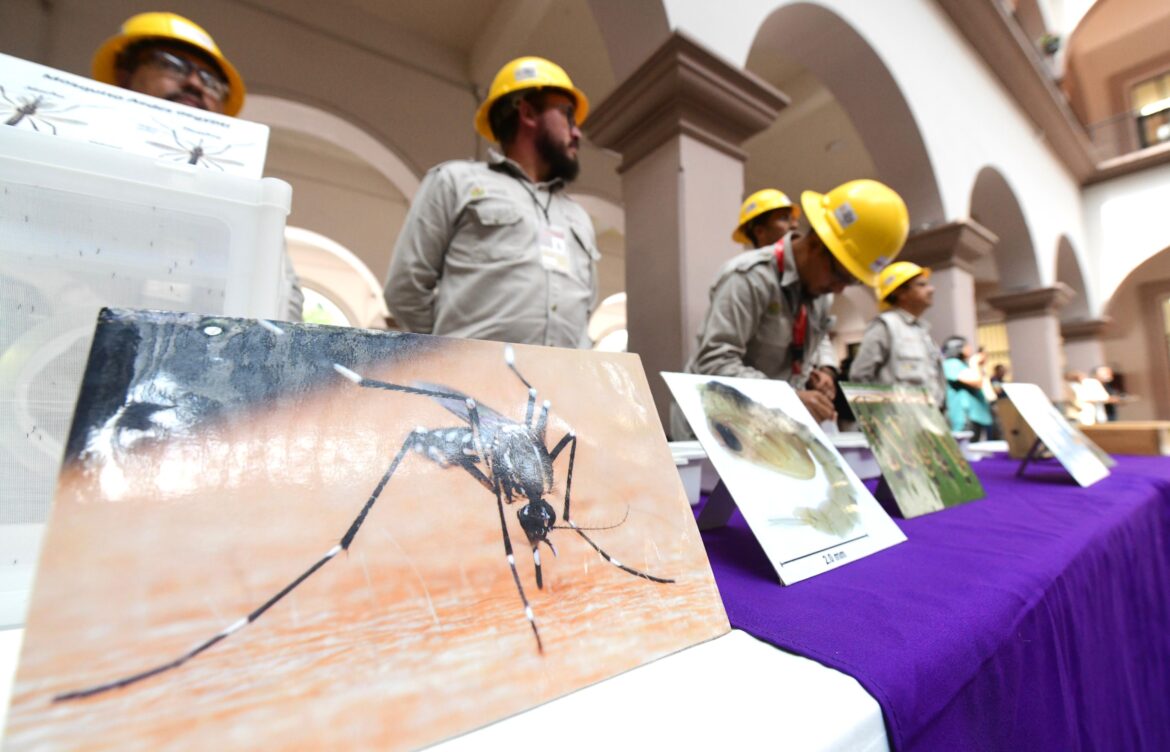 Se suma Xalapa a lucha contra el dengue