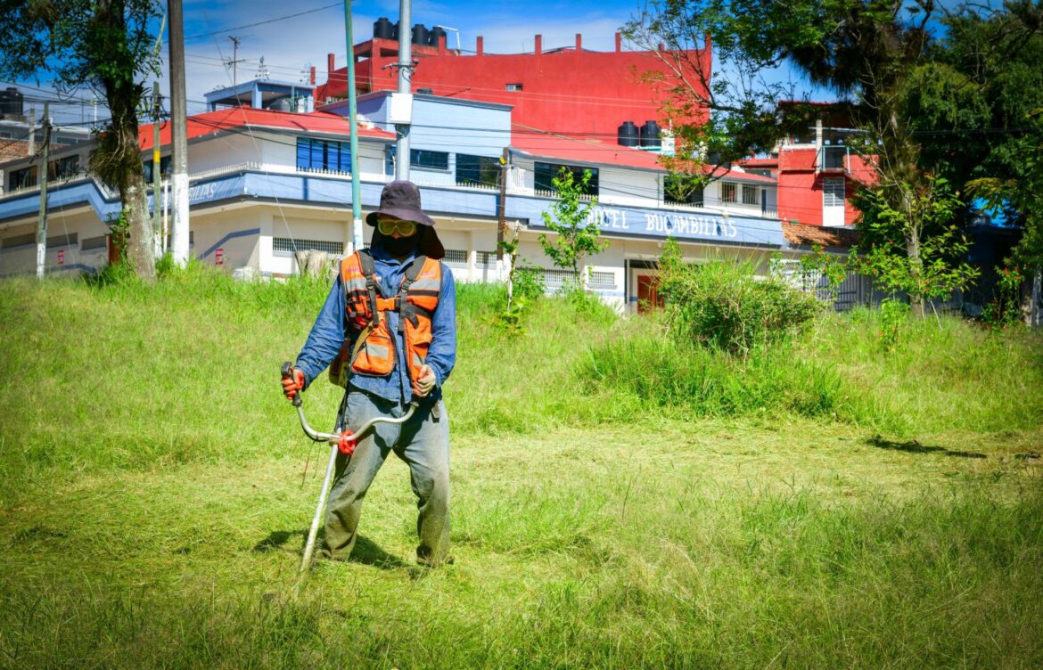 Ayuntamiento de Xalapa realiza Jornada Comunitaria de Mantenimiento de Áreas Verdes