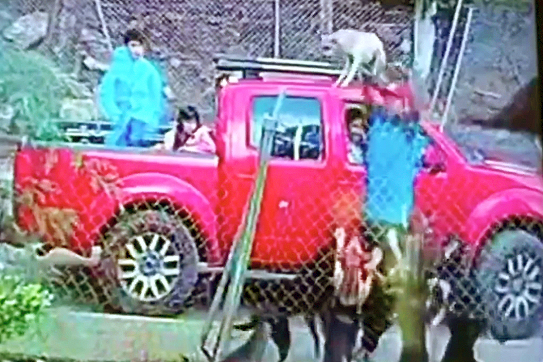 Familia lanza cachorro a refugio y muere atacado
