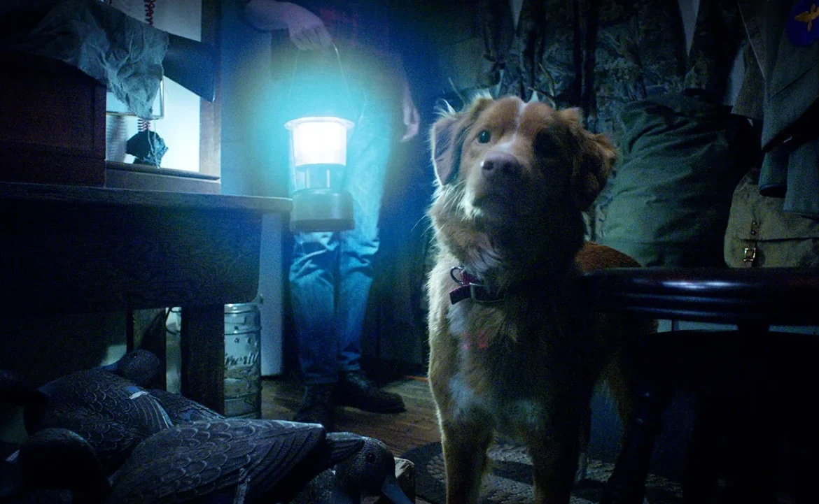 ‘Good Boy’, película de terror narrada desde la perspectiva de un perro