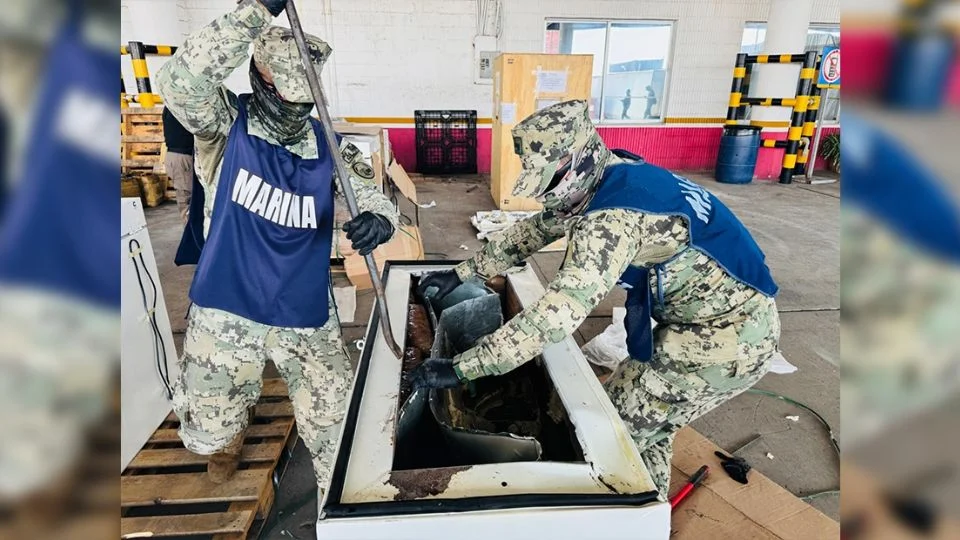 Confiscan más de 300 kilos de marihuana en la aduana del puerto de Veracruz