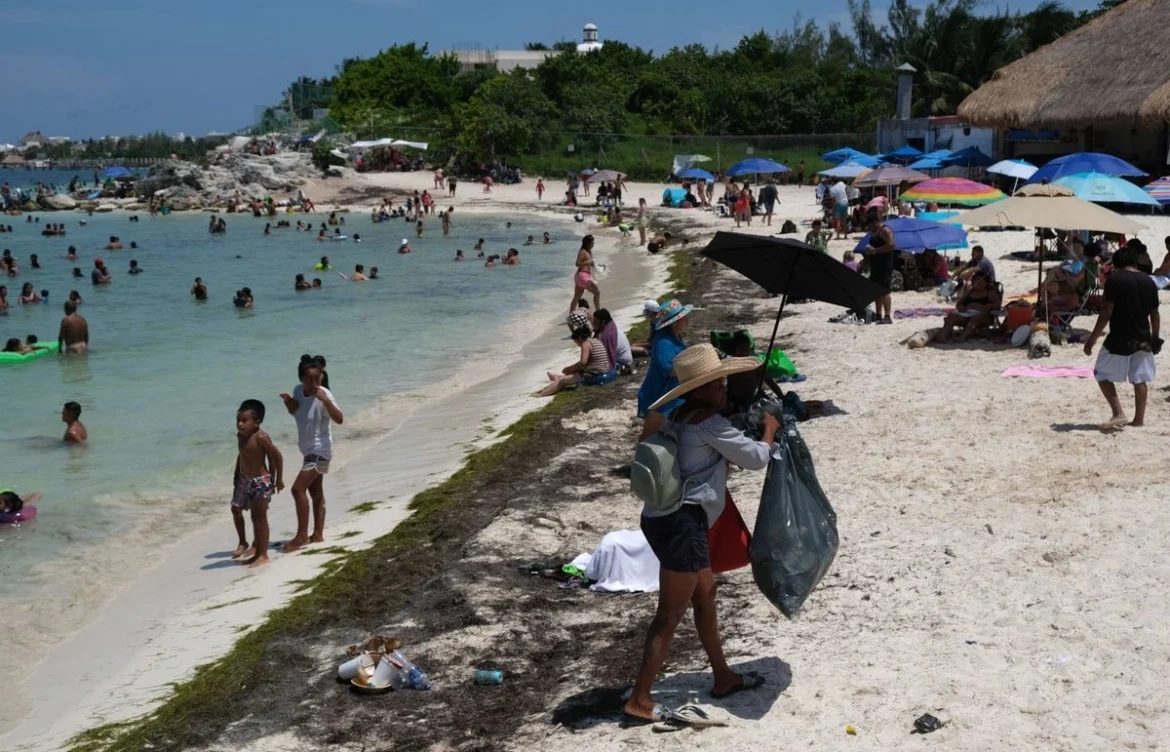 Sargazo en Quintana Roo no ha impactado el turismo, asegura Sheinbaum