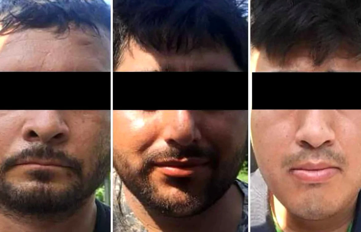 Caen cinco de célula de Los Mayos en Sinaloa, confirma Harfuch