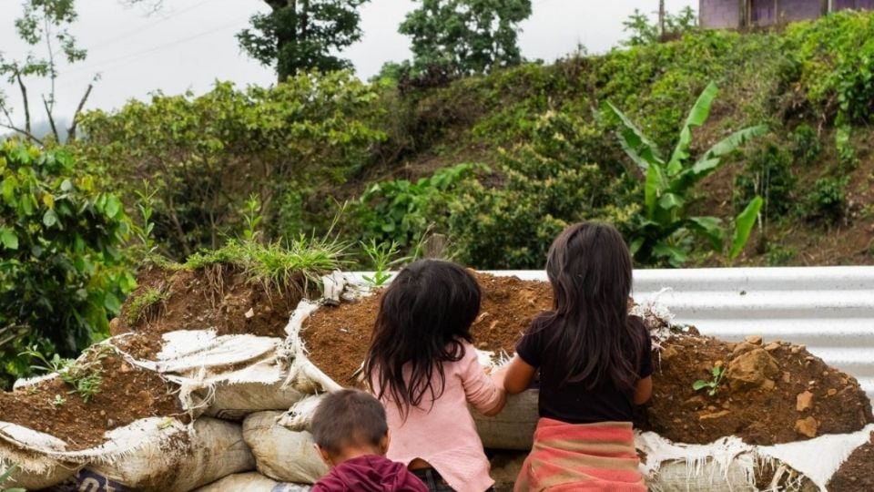 Uno de cada siete niños en México sufre retraso de crecimiento y desnutrición por pobreza