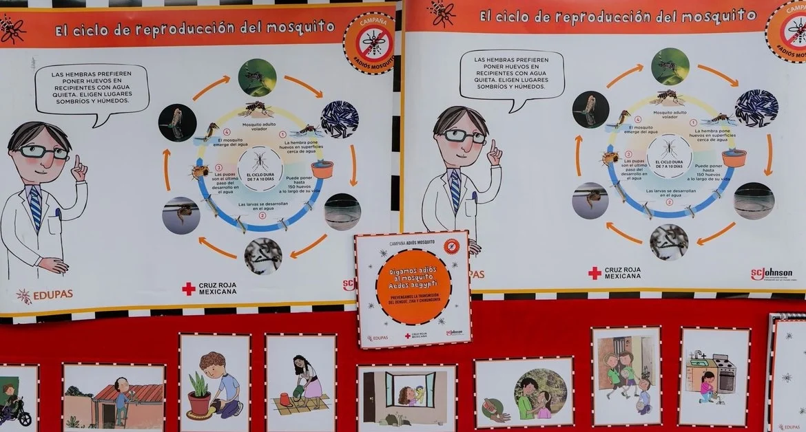 Embate de dengue en México: Casi doce mil casos y múltiples muertes