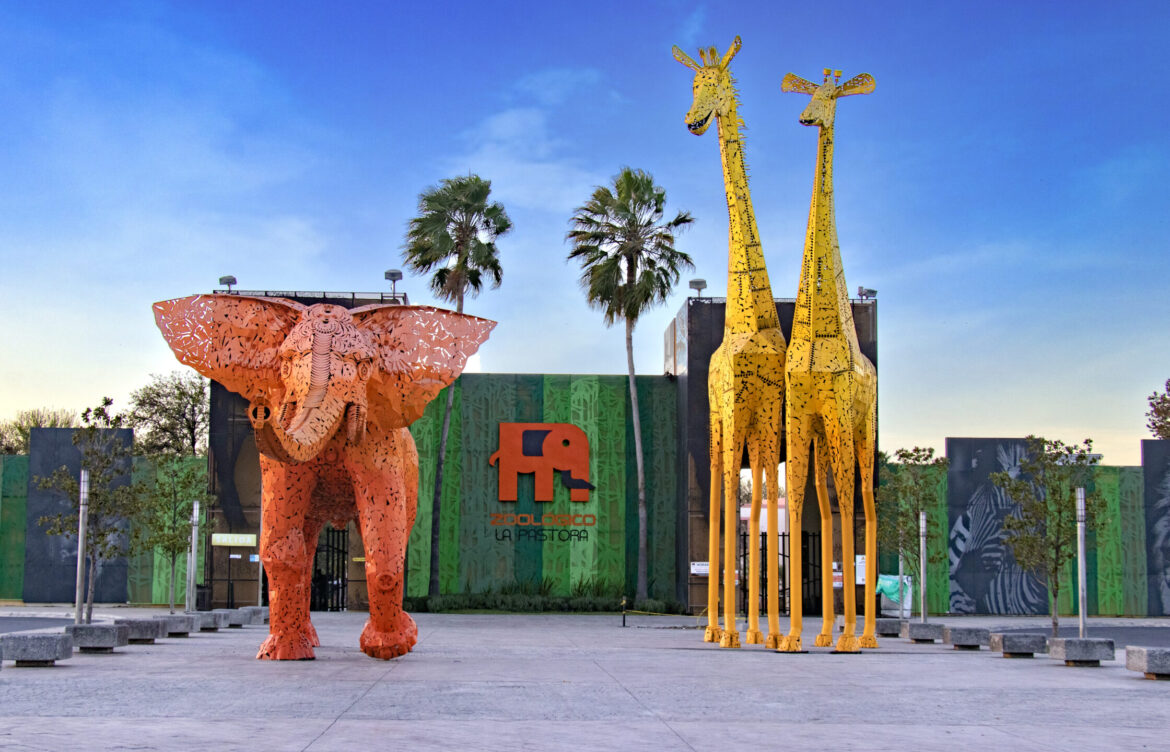 Gobierno de Nuevo León acusa a Profepa de politización tras clausura del zoológico La Pastora