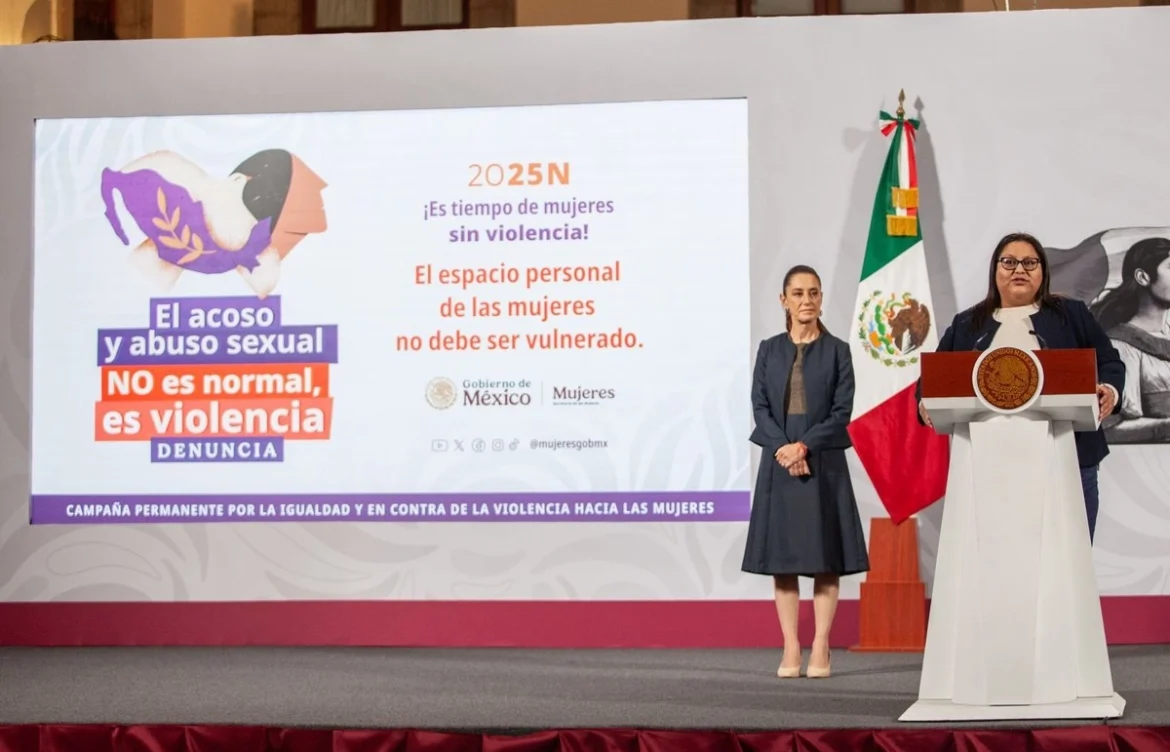 El gobierno federal busca homologar la tipificación del abuso sexual en todo el país