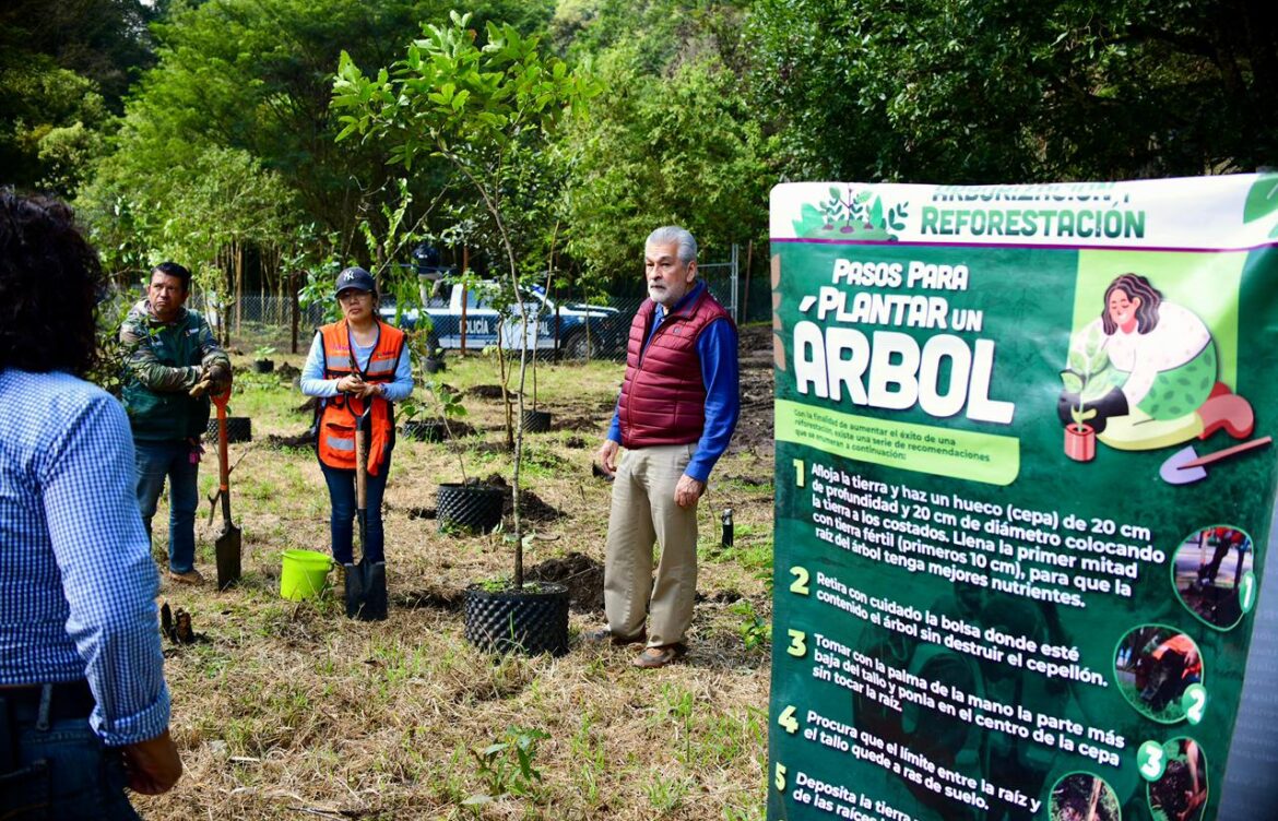 Encabeza Alberto Islas Jornada de Reforestación y Arborización en El Vallecito, Xalapa