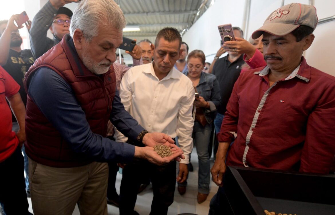 Inaugura Alberto Islas primer Beneficio de Café y domo en Chiltoyac