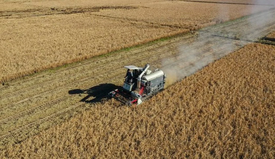 China acusa a agencias extranjeras de robar datos genéticos de granos y semillas